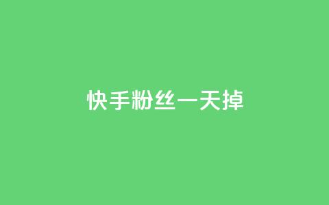 快手粉丝一天掉500 - 快手账户一天内粉丝骤减五百的原因分析~ 第1张 快手粉丝一天掉500 - 快手账户一天内粉丝骤减五百的原因分析~ 第1张