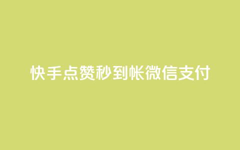 快手点赞秒到帐微信支付,qq访客量增加网站免费 - KS业务下单软件 全网最低价业务网站  第1张