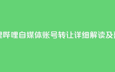 哔哩哔哩自媒体账号转让:详细解读及建议  第1张 哔哩哔哩自媒体账号转让:详细解读及建议  第1张