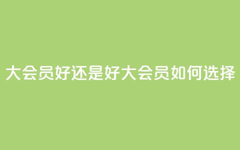 qq大会员好还是svip好(qq大会员vs svip:如何选择)  第1张 qq大会员好还是svip好(qq大会员vs svip:如何选择)  第1张