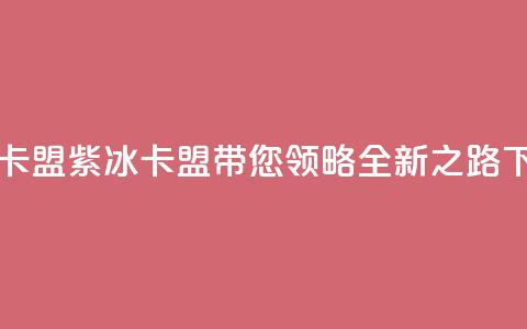 紫冰卡盟 - 紫冰卡盟带您领略全新SEO之路!  第1张 紫冰卡盟 - 紫冰卡盟带您领略全新SEO之路!  第1张