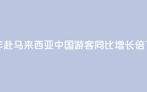 上半年赴马来西亚中国游客同比增长1.9倍  第1张 上半年赴马来西亚中国游客同比增长1.9倍  第1张