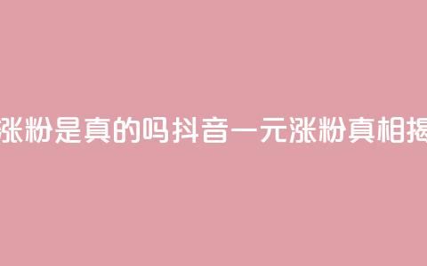 抖音一元涨粉是真的吗 - 抖音一元涨粉真相揭秘!  第1张 抖音一元涨粉是真的吗 - 抖音一元涨粉真相揭秘!  第1张