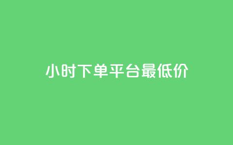 24小时下单平台最低价 - 发卡网联盟 第1张 24小时下单平台最低价 - 发卡网联盟 第1张