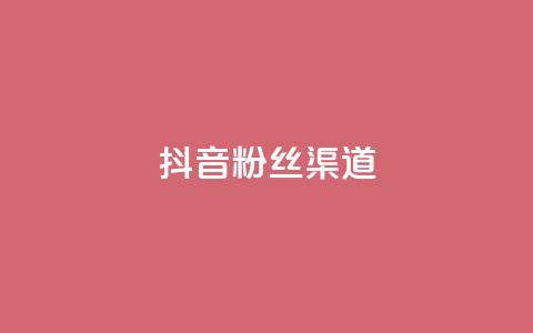 抖音粉丝渠道 - 抖音粉丝增长秘籍 渠道攻略大揭秘~  第1张 抖音粉丝渠道 - 抖音粉丝增长秘籍 渠道攻略大揭秘~  第1张