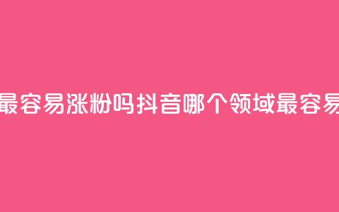抖音做什么赛道最容易涨粉吗 - 抖音哪个领域最容易增加粉丝?!  第1张 抖音做什么赛道最容易涨粉吗 - 抖音哪个领域最容易增加粉丝?!  第1张