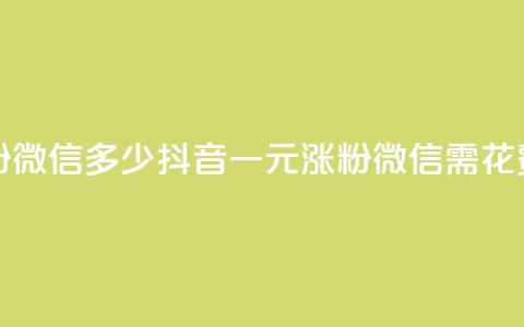 抖音一元涨粉1000微信多少 - 抖音一元涨粉1000微信需花费多少~ 第1张 抖音一元涨粉1000微信多少 - 抖音一元涨粉1000微信需花费多少~ 第1张