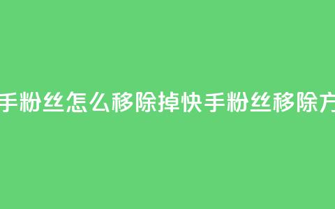 快手粉丝怎么移除掉(快手粉丝移除方法)  第1张 快手粉丝怎么移除掉(快手粉丝移除方法)  第1张