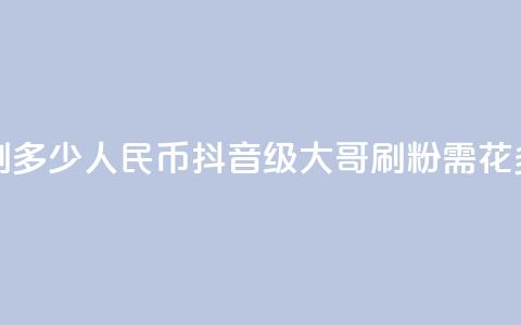 抖音75级大哥需要刷多少人民币(抖音75级大哥刷粉需花多少人民币?)  第1张 抖音75级大哥需要刷多少人民币(抖音75级大哥刷粉需花多少人民币?)  第1张