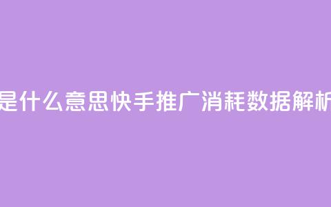 快手推广消耗数据是什么意思 - 快手推广消耗数据解析与意义解读!  第1张 快手推广消耗数据是什么意思 - 快手推广消耗数据解析与意义解读!  第1张