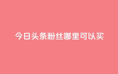 今日头条粉丝哪里可以买 - 今日头条粉丝购买渠道探秘~  第1张 今日头条粉丝哪里可以买 - 今日头条粉丝购买渠道探秘~  第1张