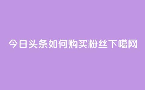 今日头条如何购买粉丝  第1张 今日头条如何购买粉丝  第1张