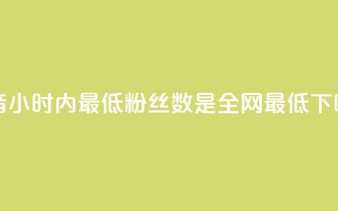 抖音24小时内最低粉丝数是全网最低  第1张 抖音24小时内最低粉丝数是全网最低  第1张