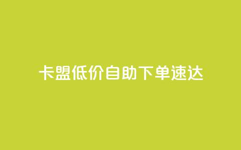 卡盟低价自助下单速达  第1张 卡盟低价自助下单速达  第1张
