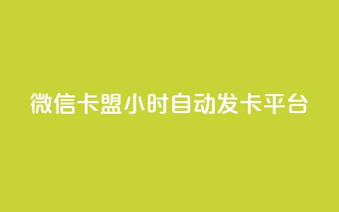 微信卡盟24小时自动发卡平台,云小店24小时下单平台 - 拼多多自动下单脚本 拼多多砍一刀代砍  第1张 微信卡盟24小时自动发卡平台,云小店24小时下单平台 - 拼多多自动下单脚本 拼多多砍一刀代砍  第1张
