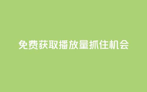 免费获取KS播放量，抓住机会！  第1张
