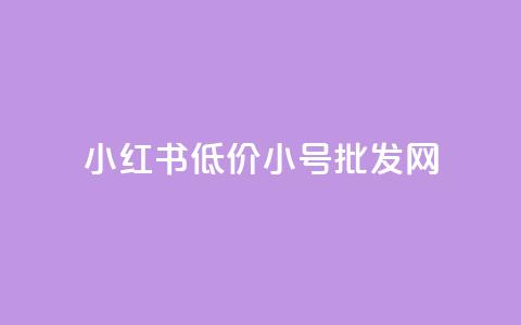 小红书低价小号批发网 - 便宜的小红书号码批发平台!  第1张