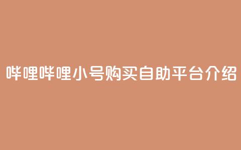 哔哩哔哩小号购买自助平台介绍  第1张 哔哩哔哩小号购买自助平台介绍  第1张