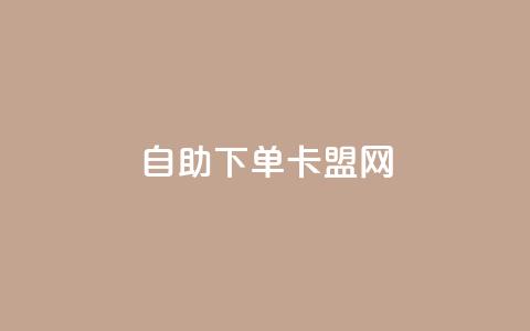 自助下单卡盟网,qq空间访客网站最便宜 - 0.01元宝后还有什么套路 拼多多开店怎么开 新手  第1张