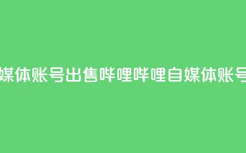 哔哩哔哩自媒体账号出售(哔哩哔哩自媒体账号转让)  第1张 哔哩哔哩自媒体账号出售(哔哩哔哩自媒体账号转让)  第1张