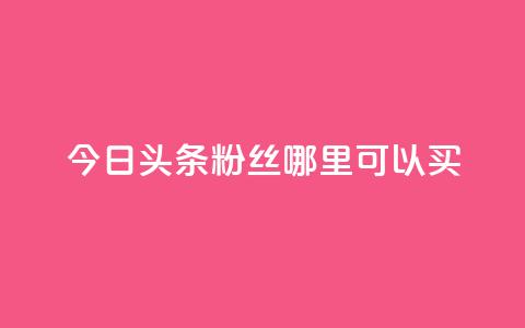 今日头条粉丝哪里可以买 - 今日头条粉丝购买渠道指南。  第1张