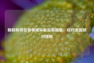 朝鲜称将在各领域采取反制措施，应对美国敌对挑衅