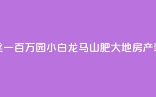 快手粉丝一百万0.01园小白龙马山肥大地房产装修网站,QQ红钻卡盟 - qq业务自助 - 子潇网络平台是合法吗
