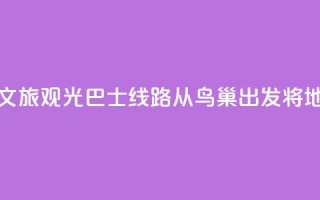 北京开通新文旅观光巴士线路 从鸟巢出发将地标“串珠成链”