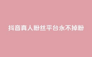 抖音真人粉丝平台 永不掉粉 - 抖音粉丝平台：畅享稳定粉丝，永远不失粉！~
