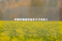 哔哩哔哩播放量多少才有收入