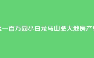 快手粉丝一百万0.01园小白龙马山肥大地房产装修网站,直播间人气协议网站 - 抖音低价业务全网最低 - 抖音点赞极速到账