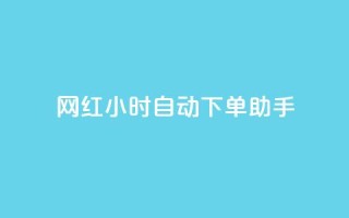 网红24小时自动下单助手,天创卡盟 - qq空间说说访问量 - QQ业务自助网