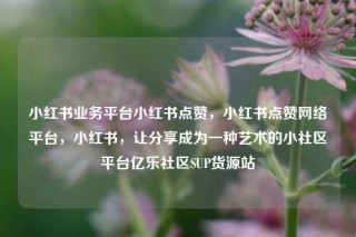 小红书业务平台小红书点赞，小红书点赞网络平台，小红书，让分享成为一种艺术的小社区平台亿乐社区SUP货源站