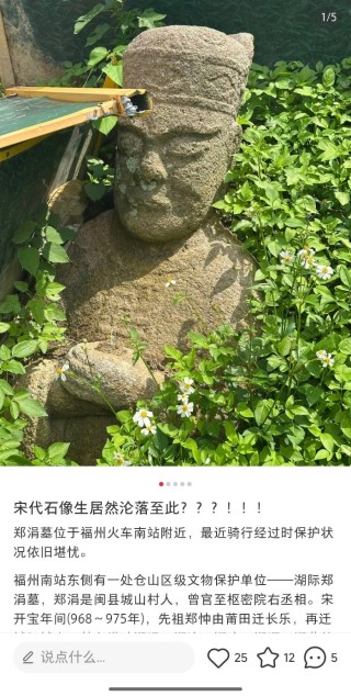福州一宋代古墓被指沦为露天厕所，仓山区博物馆：已设置围挡