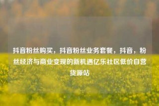 抖音粉丝购买，抖音粉丝业务套餐，抖音，粉丝经济与商业变现的新机遇亿乐社区低价自营货源站