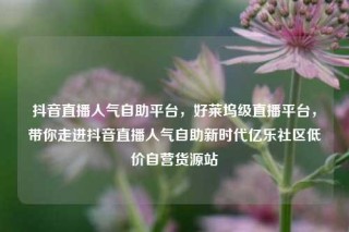 抖音直播人气自助平台，好莱坞级直播平台，带你走进抖音直播人气自助新时代亿乐社区低价自营货源站