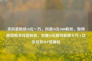 买抖音粉丝10元一万，抖音10元1000粉丝，如何高效购买抖音粉丝，仅需10元即可收获十万+亿乐社区SUP货源站