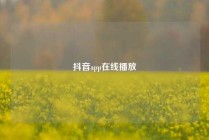 抖音app在线播放