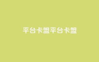 平台卡盟 平台卡盟,ks单真人粉丝 - 24小时砍价助力网 - 拼多多助力哪个是真的