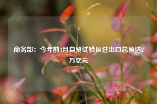 商务部：今年前3月自贸试验区进出口总额达2万亿元