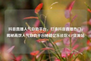 抖音直播人气自助平台，打造抖音直播热门，揭秘高效人气自助平台秘籍亿乐社区SUP货源站