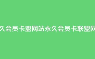 永久qq会员卡盟网站(永久QQ会员卡联盟网站)
