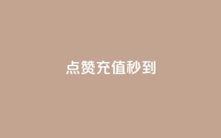 dy点赞充值秒到,QQ空间访问量在线下单 - ks全天自助下单微信支付 - 闲鱼刷我想要