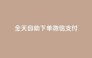 ks全天自助下单微信支付,小红书3000粉丝推广报价多少 - 拼多多免费助力工具app - 拼多多新用户吞刀怎么解决