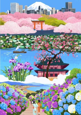 花开之处，便是故地