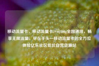 移动流量卡，移动流量卡29元300g全国通用，畅享无限流量，尽在手头—移动流量卡的全方位体验亿乐社区低价自营货源站