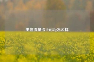 电信流量卡19元80g怎么样