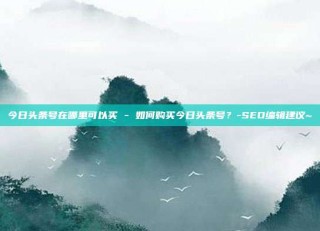今日头条号在哪里可以买 - 如何购买今日头条号？-SEO编辑建议~