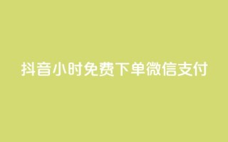 抖音24小时免费下单微信支付,QQ动态自动秒赞 - 抖音业务24小时在线下单商城 - 抖音网站全网最低价啊
