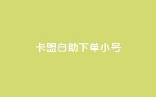 卡盟自助下单dy小号 - 卡盟自助下单小号重要性~
